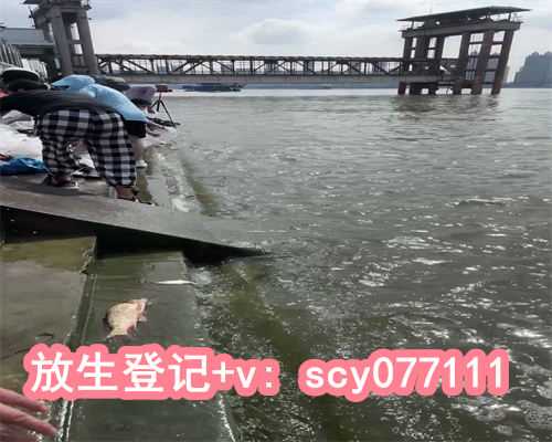 龟放生有何讲究，鱼缸位置的风水摆放有哪些讲究