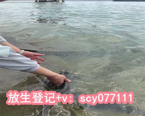 放生河蚌代表什么，手掌上的线纹代表什么