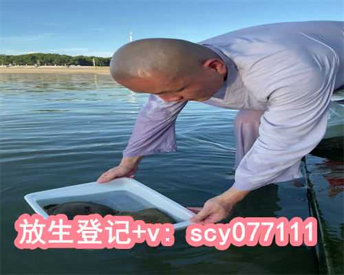 放生风水，风水与放生吃素