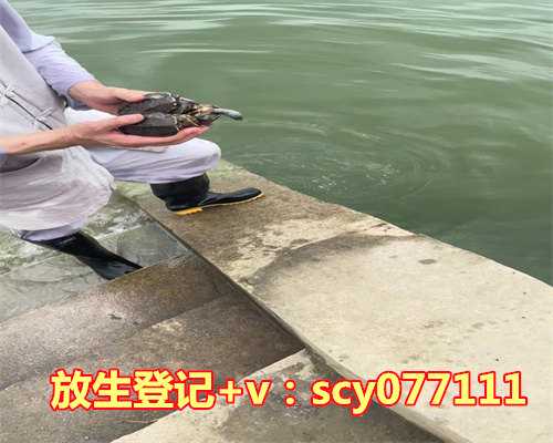 台州放生组织联系方式电话