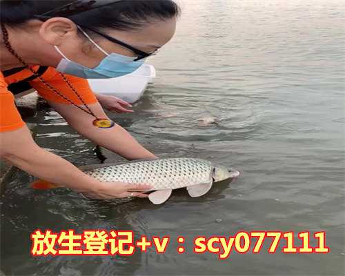 甘南九六放生群