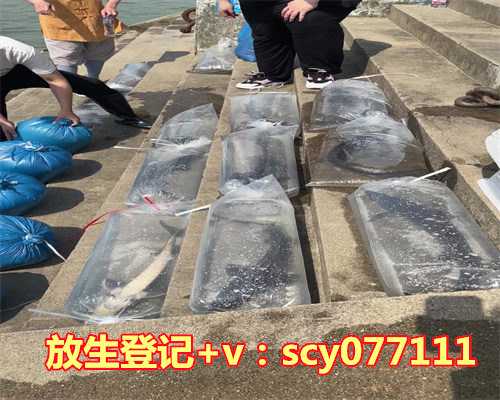 放生有什么好处亲身经历，吃人参有什么好处