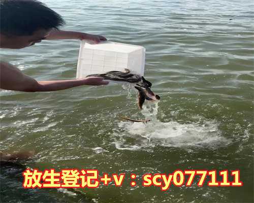 甲鱼可以在黄河里放生吗，正对大门可以放姜太公钓鱼吗？