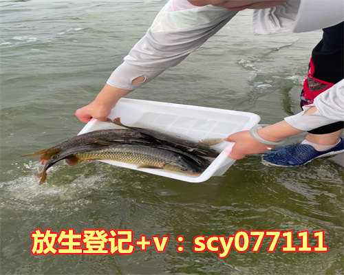 下葬放生多少条鱼好，梦见抓到了一条鱼鱼还杀好了的