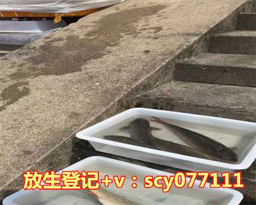 在自家门口放生要注意什么，鸟类放生需要注意什么