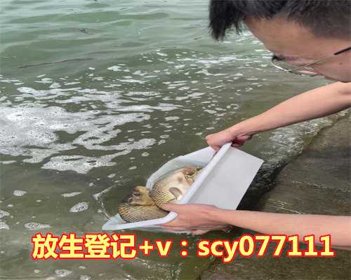 为病人放生祈祷文怎么说，为什么说诸功德中放生第一