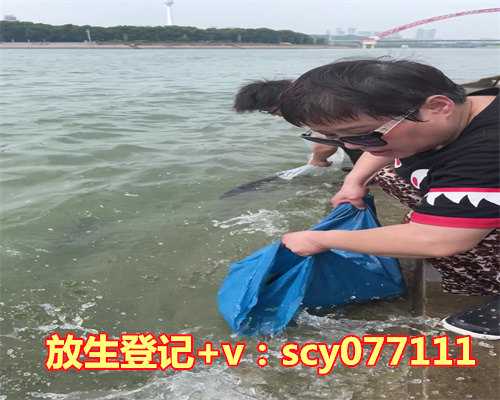 济南哪里放生鳝鱼最好，“济南大妈”千元买鱼放生大明湖景区呼吁务必科学放