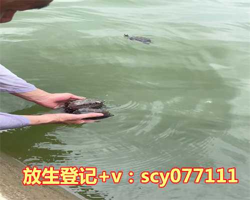 呼和浩特放生的好地方