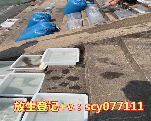 乌龟生病了能不能放生，乌龟放生有什么讲究？