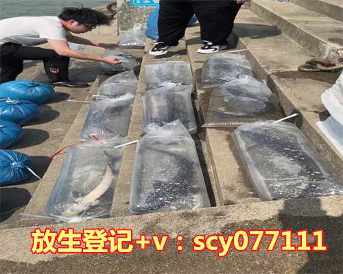 阿拉善盟哪个湖可以放生鱼苗