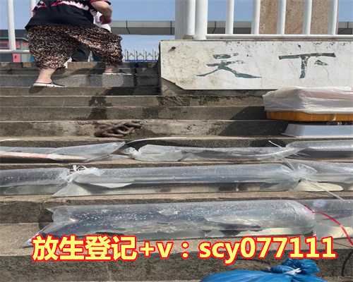 买鱼放生用什么鱼好，娃娃鱼被捕热心市民买下放生