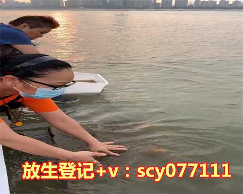 景德镇哪里放生甲鱼好啊最近