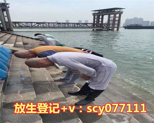 <strong>漳州晚上放生时间（</strong>