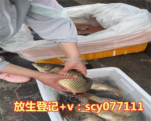 道根法师放生捐款，放生动物或罚款5000元