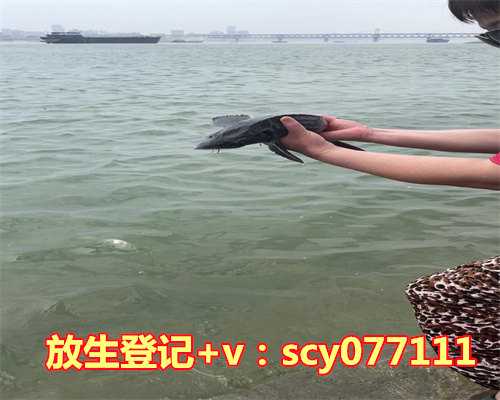 放生观音雀有什么功德和作用，生地的作用和功效