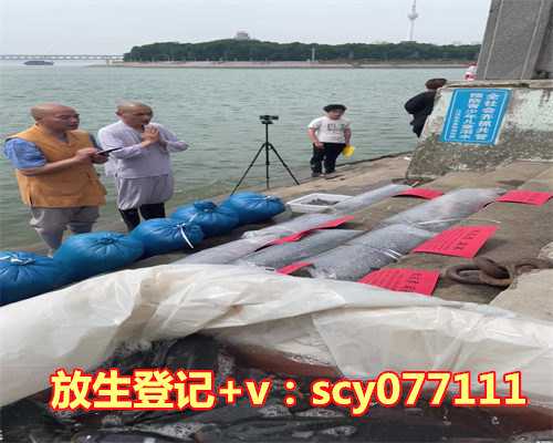 青岛哪里放生公鸡最好，青岛机场驱鸟用“八般武器”