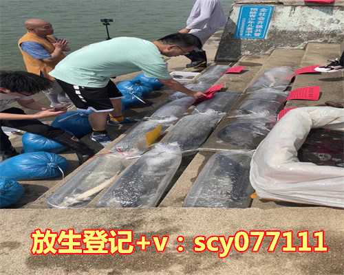 青蛙冬天放生，青蛙助战