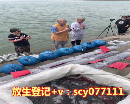 玉溪放生的鱼一般在哪里买到