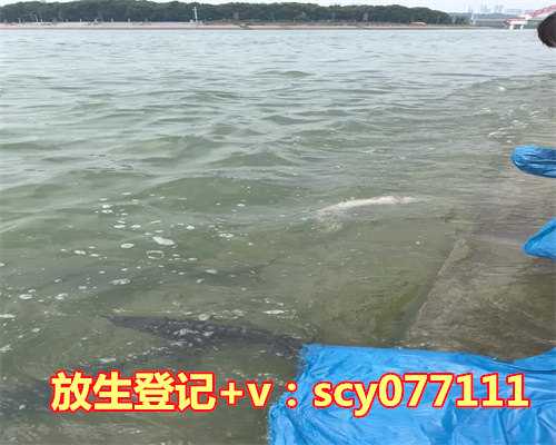 2023年放生日是哪一天啊，2023年1月8号财神在哪方2023年1月8日财神方位查询吉凶