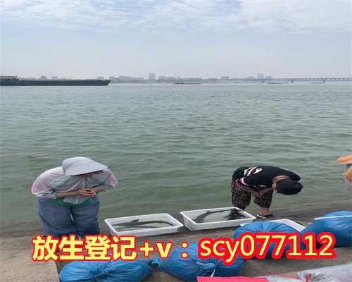 闽江鳝鱼放生地点，浙江有什么好玩的地方旅游景点