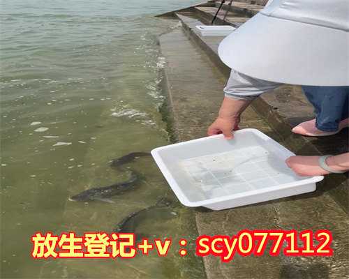 台州放生生儿子,台州逮放生的鱼吃会破坏运气吗,台州净界法师放生